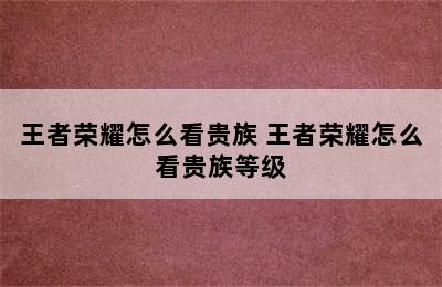 王者荣耀怎么看贵族 王者荣耀怎么看贵族等级